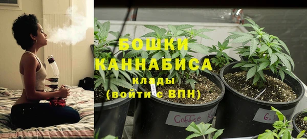 ешки Заводоуковск