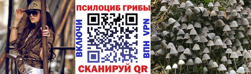 Галлюциногенные грибы MAGIC MUSHROOMS маркетплейс состав Саяногорск что такое