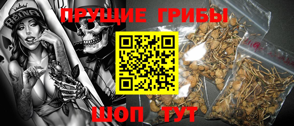 Псилоцибиновые грибы Magic Shrooms  Вход с VPN  Саяногорск 