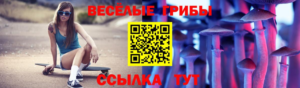 Галлюциногенные грибы Psilocybine cubensis Саяногорск