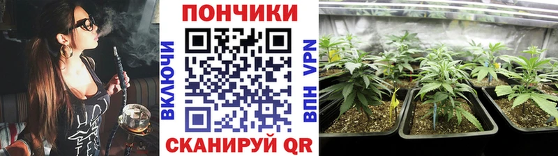 Марихуана план Саяногорск